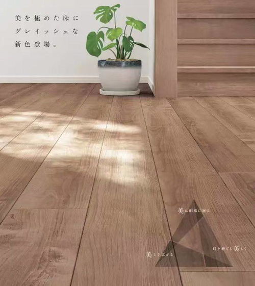 進口木地板給您一個舒適健康的家