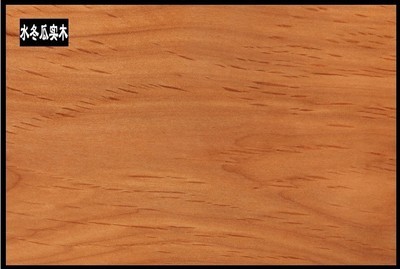 佛山市南海區駿藤家具 熱推新品真藤沙發，引領酒店家具新潮流